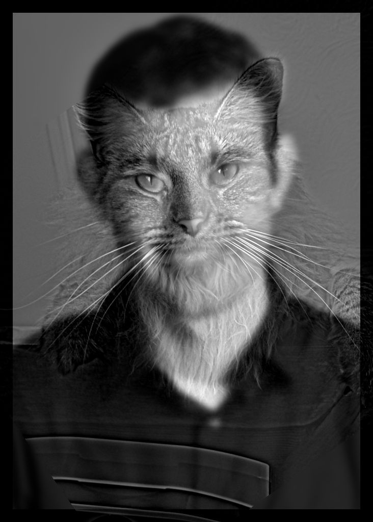 Hybrid with both images in grayscale