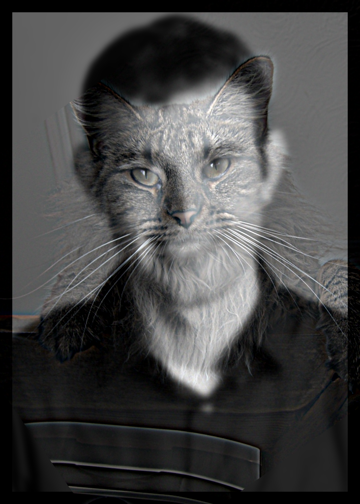 Hybrid with low-frequency in grayscale