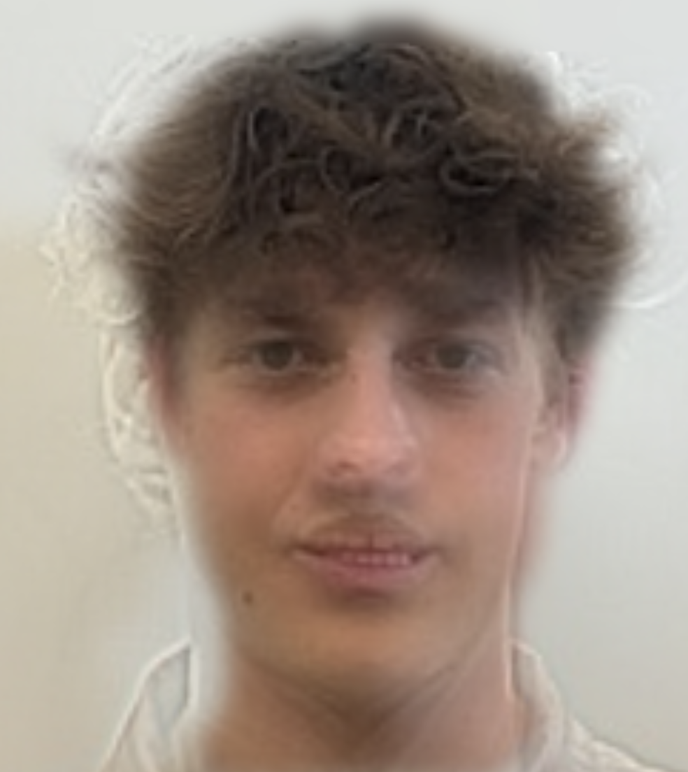 Hybrid result (looks like Sinner)