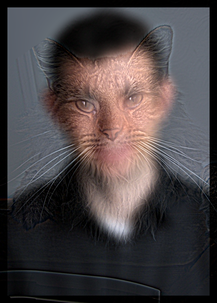 Hybrid result (man + cat)