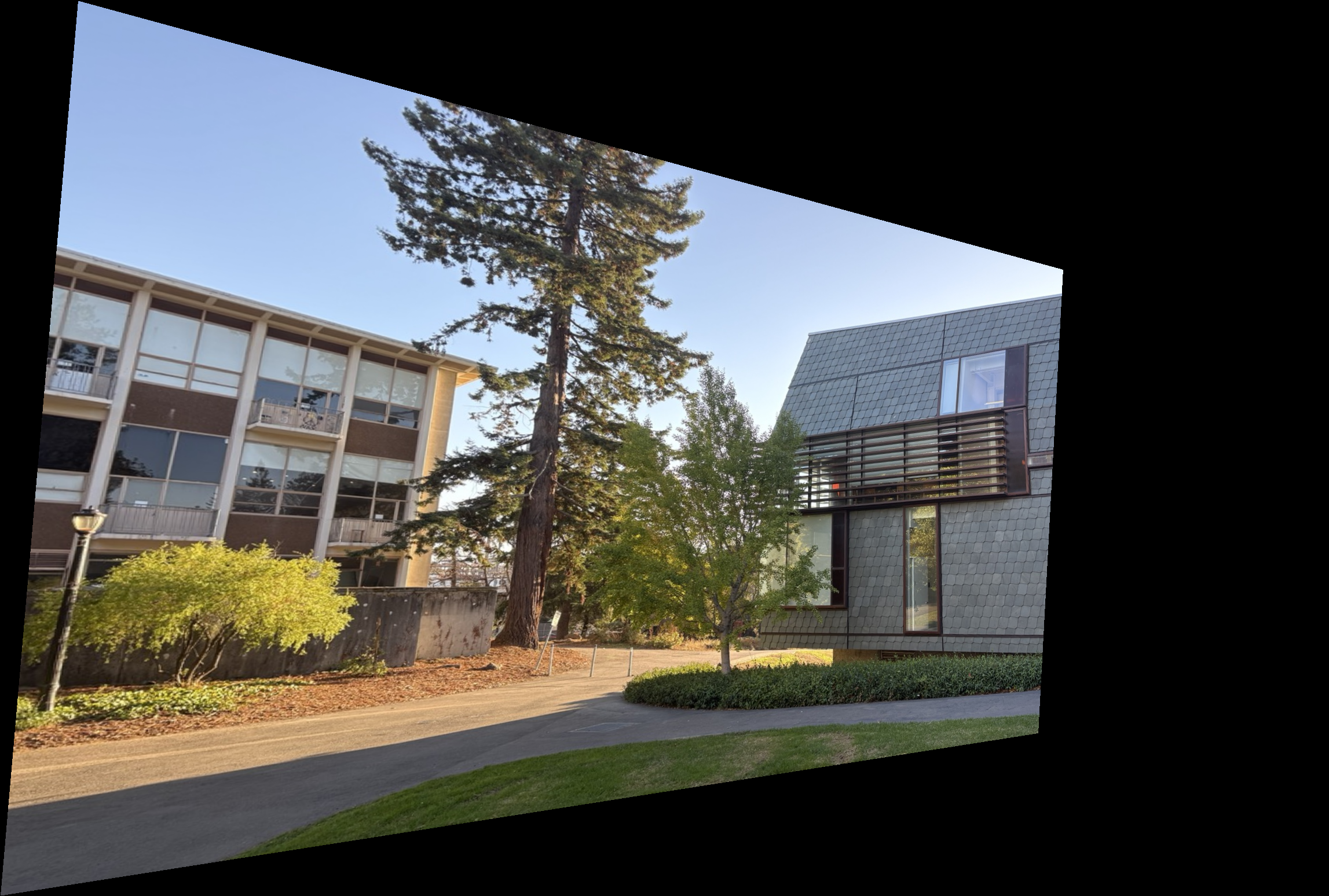 Example 1 — Image 1 (warped)