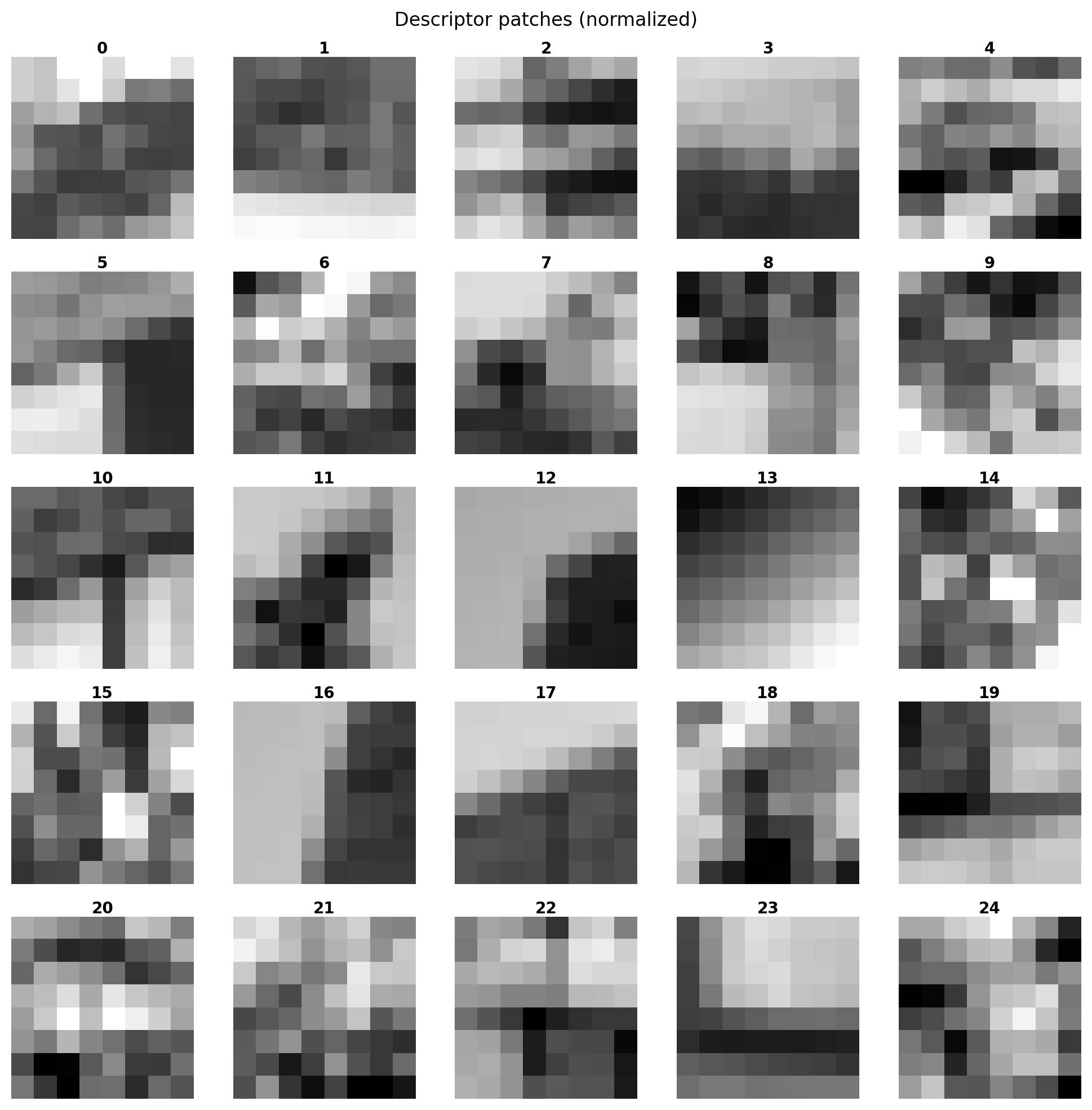 Grid of normalized 8x8 descriptors