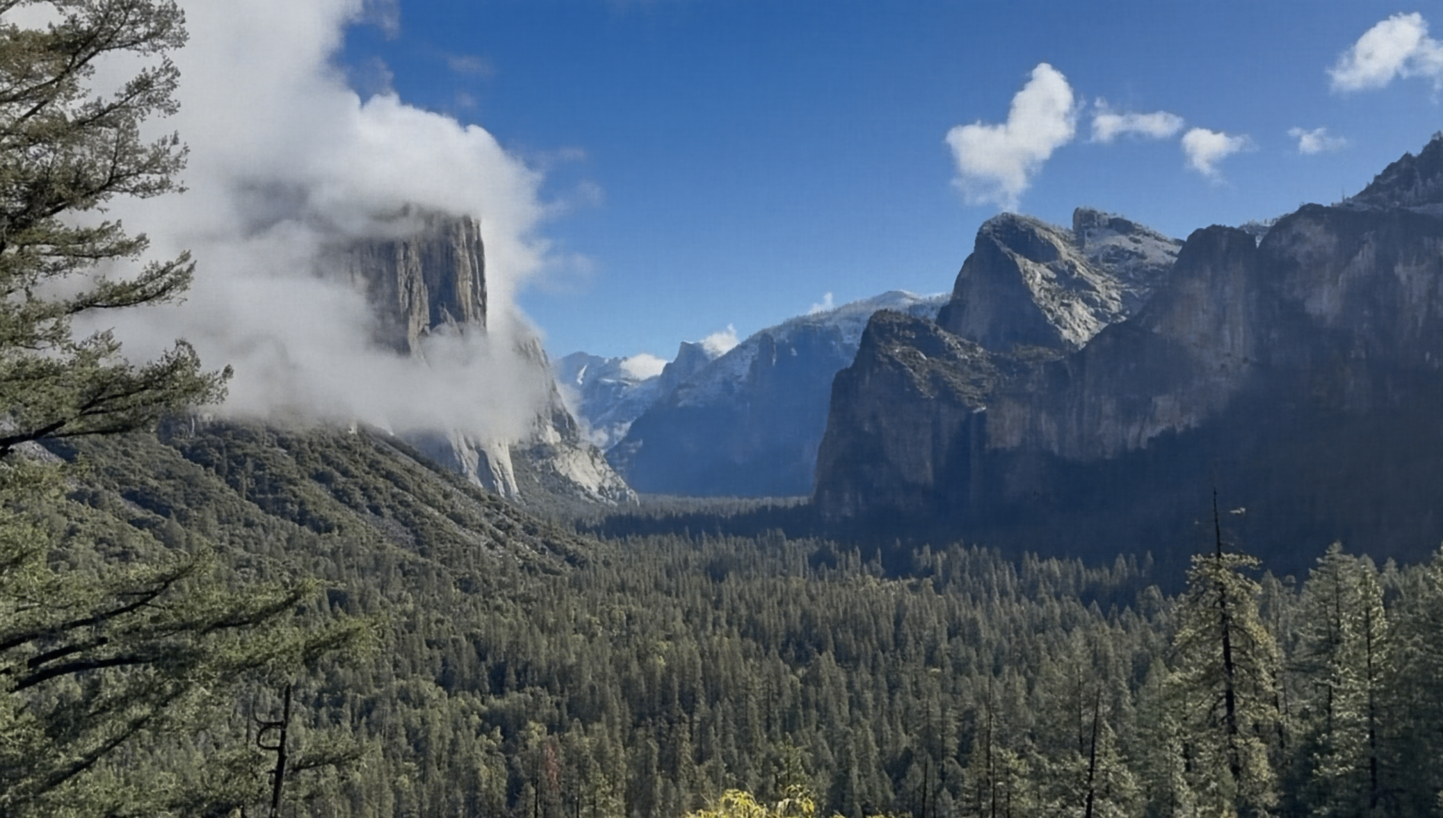 Yosemite training progression at step 7000
