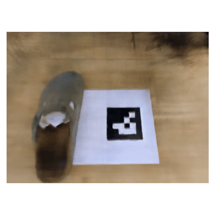 Own dataset (shoe): spherical rendering GIF