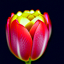 Web image edit i_start=7